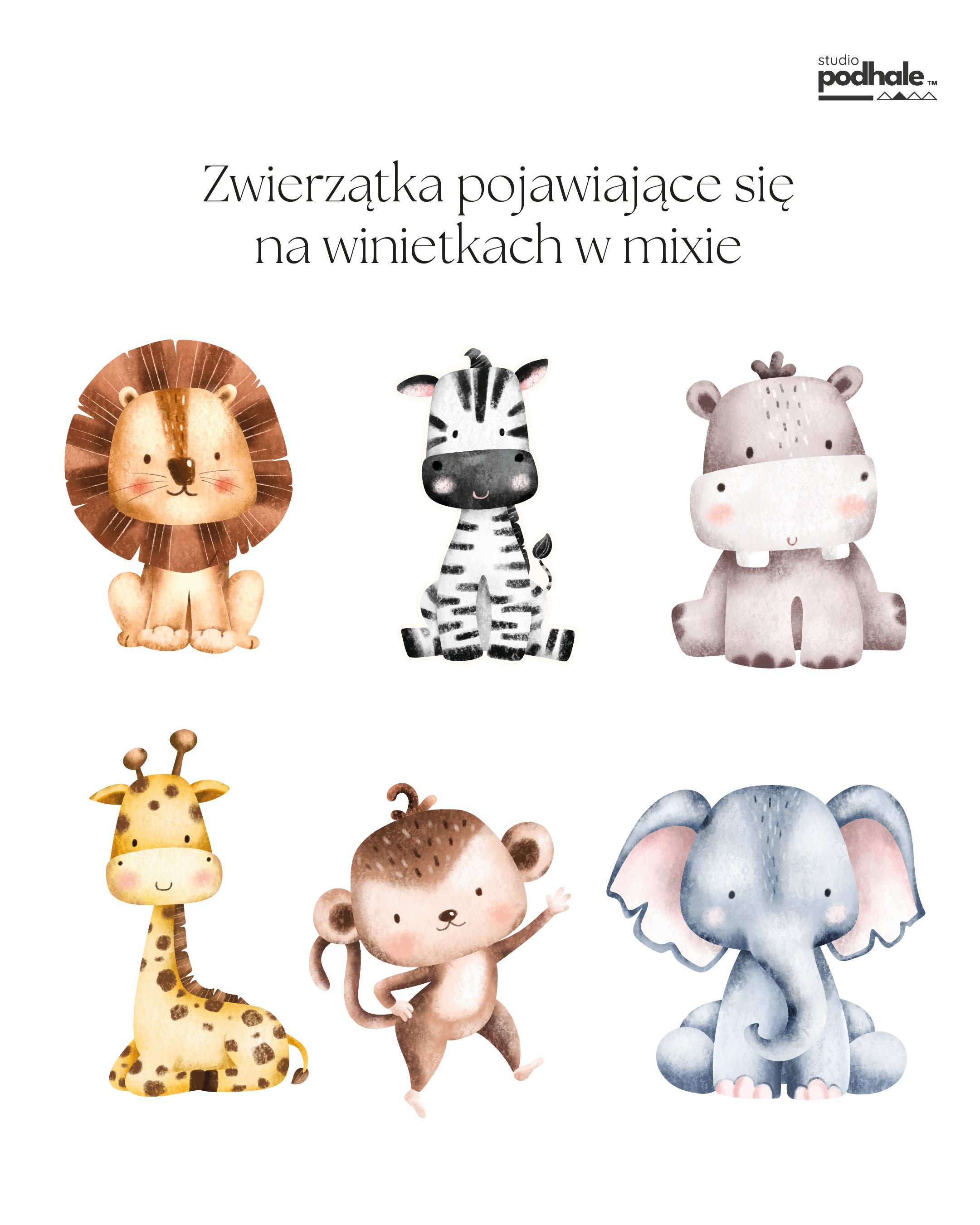 Winietki urodzinowe Safari